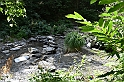 VBS_5268 - Novalesa, cascata, affreschi 